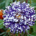 ���� �����, �����, 64 ���� - ��������� 22 ������� 2016 � ������ ������� ���������