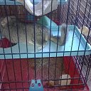 ���� �������, ������, 50 ��� - ��������� 8 ������� 2016 � ������ ����������