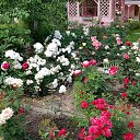 ���� �������, ������, 51 ��� - ��������� 11 ������� 2016 � ������ ����� 2016�