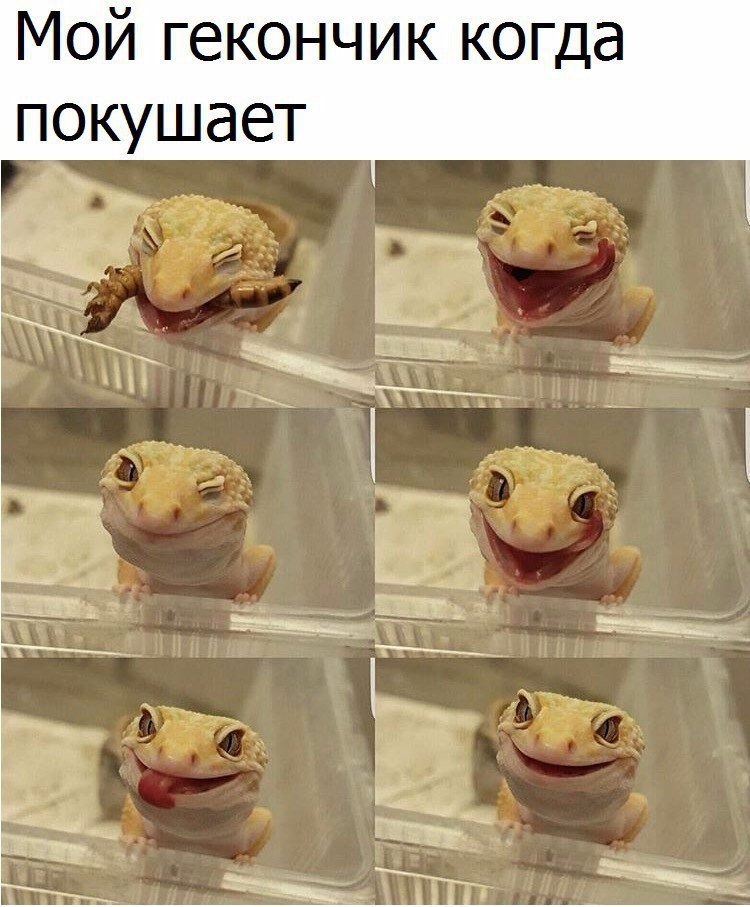   - 10  2016  22:55