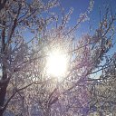 ���� ������, ������, 61 ��� - ��������� 12 ������� 2017 � ������ ���� ����������