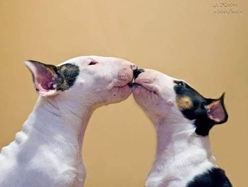 Удачных выходных, друзья!