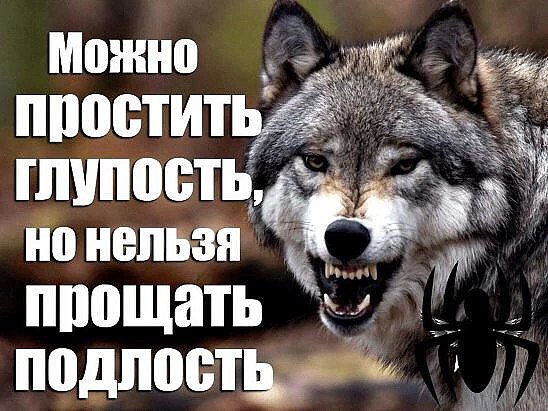 .https://fotostrana.ru/away?to=/sl/kxC2 - 12  2016  16:31