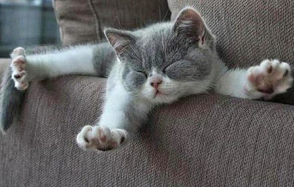 � �� ���� ������ ��� �� ����, �� ������ � ����������� ���� ����� �������� ���, ��� �� ���������...