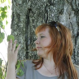 ������, ���������, 46 ���