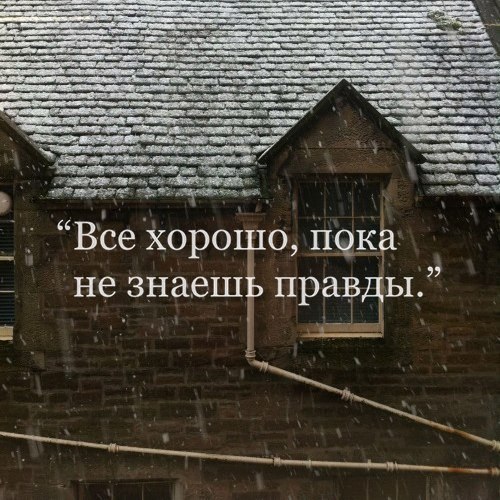   -  ,  -  - 12  2017  10:22