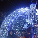  , , 41  -  22  2017   2017