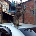  *******, , 48  -  14  2016