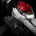 ���� �����, ������, 33 ���� - ��������� 5 ����� 2017 � ������ ������ ��������