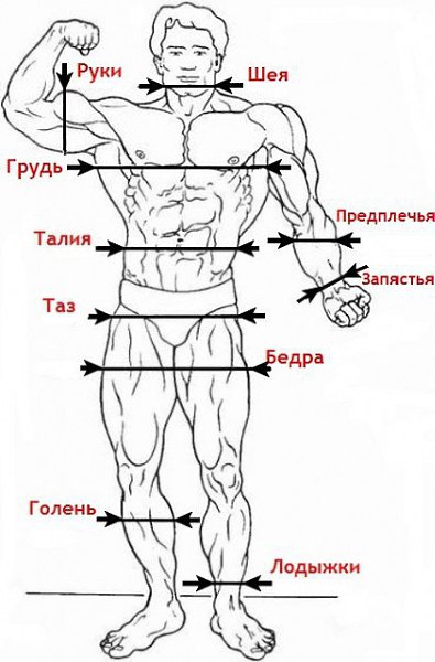 Отслеживай свой успех! Автор: Дарья Карелина Сегодня я хочу немного поговорить с вами о грамотном ...