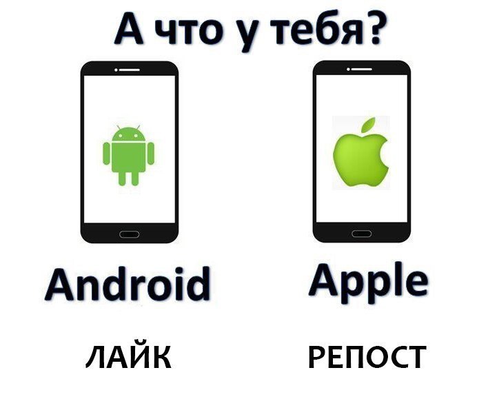    :D - 8  2016  16:31