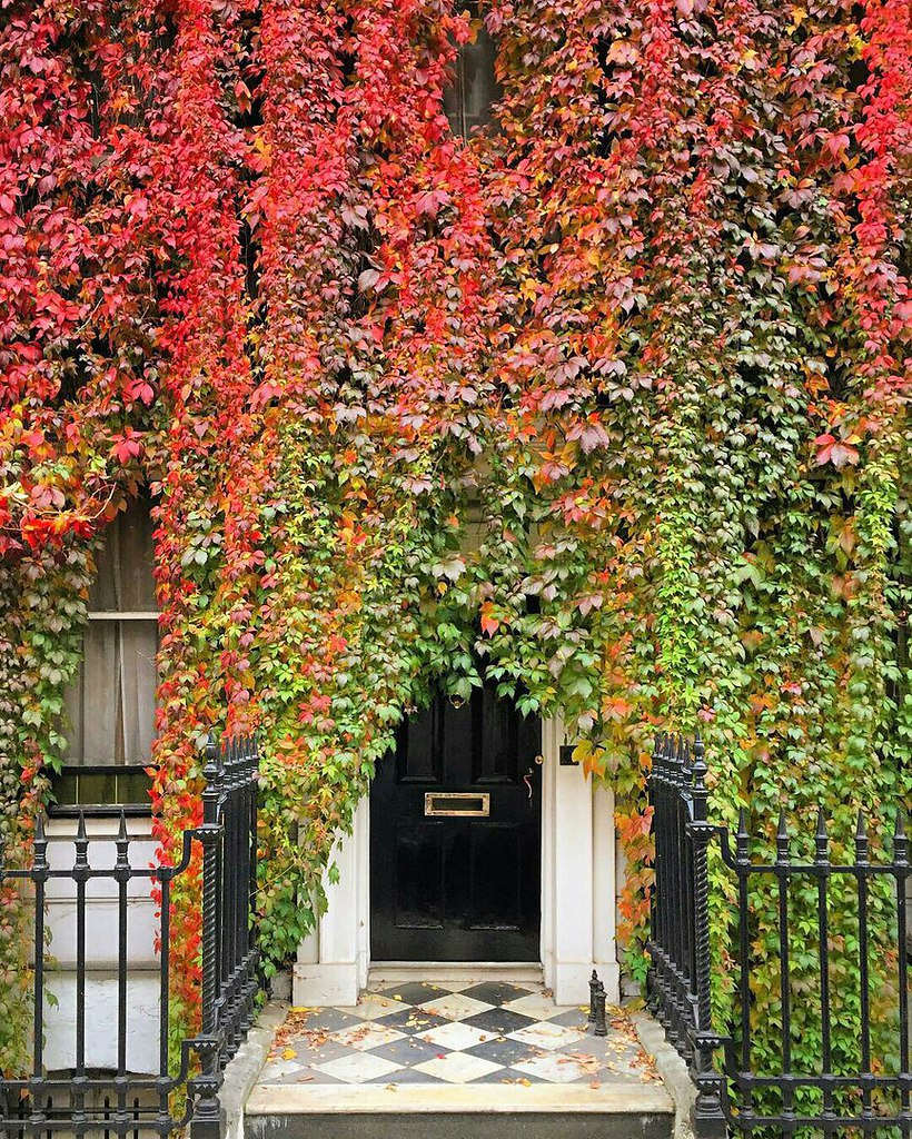 London, The United Kingdom