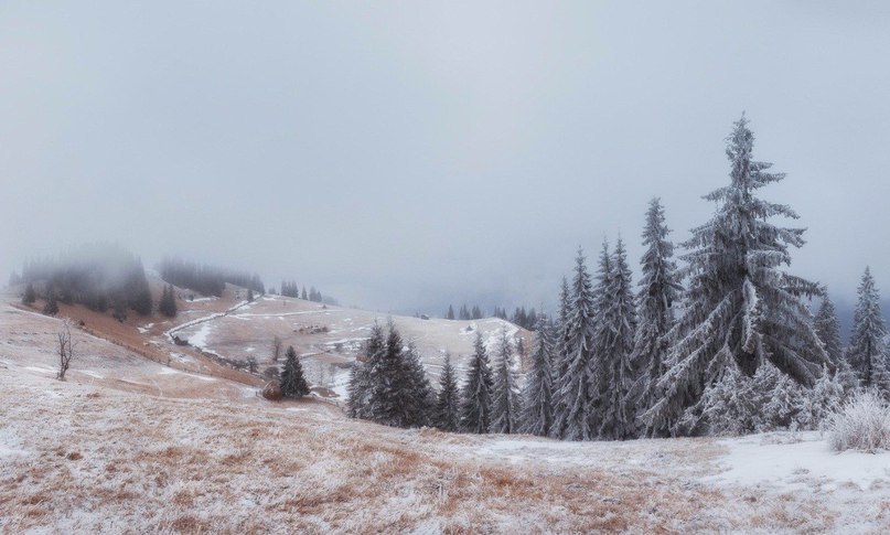 Carpathians, Ukraine - 4