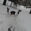 ���� �����$$$, ����� - ��������� 4 ������ 2017 � ������ ���� ����������