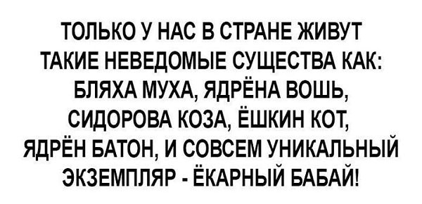   - 7  2017  18:37