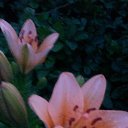 ���� �����, ������ - ��������� 22 ������� 2017 � ������ ���� ������� ����� .�