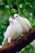 ���� Ilqar, ����, 58 ��� - ��������� 7 ������� 2016 � ������ ���� ����������