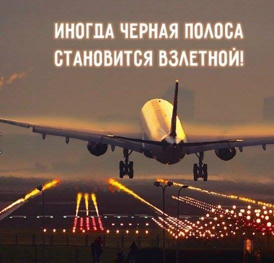 LIFE -  - 17  2016  16:57