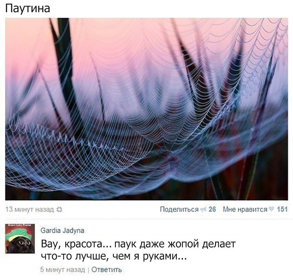    - 6  2017  13:22
