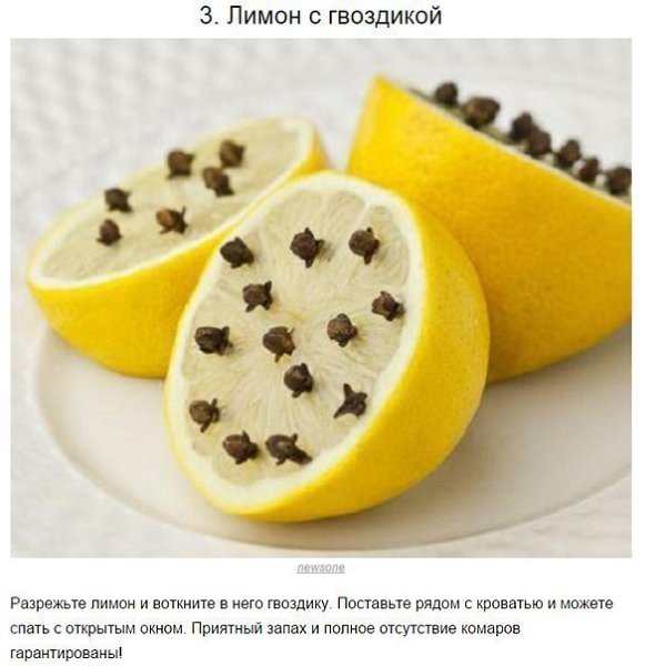 10 �������� ������ � �������� � �� �������! - 3