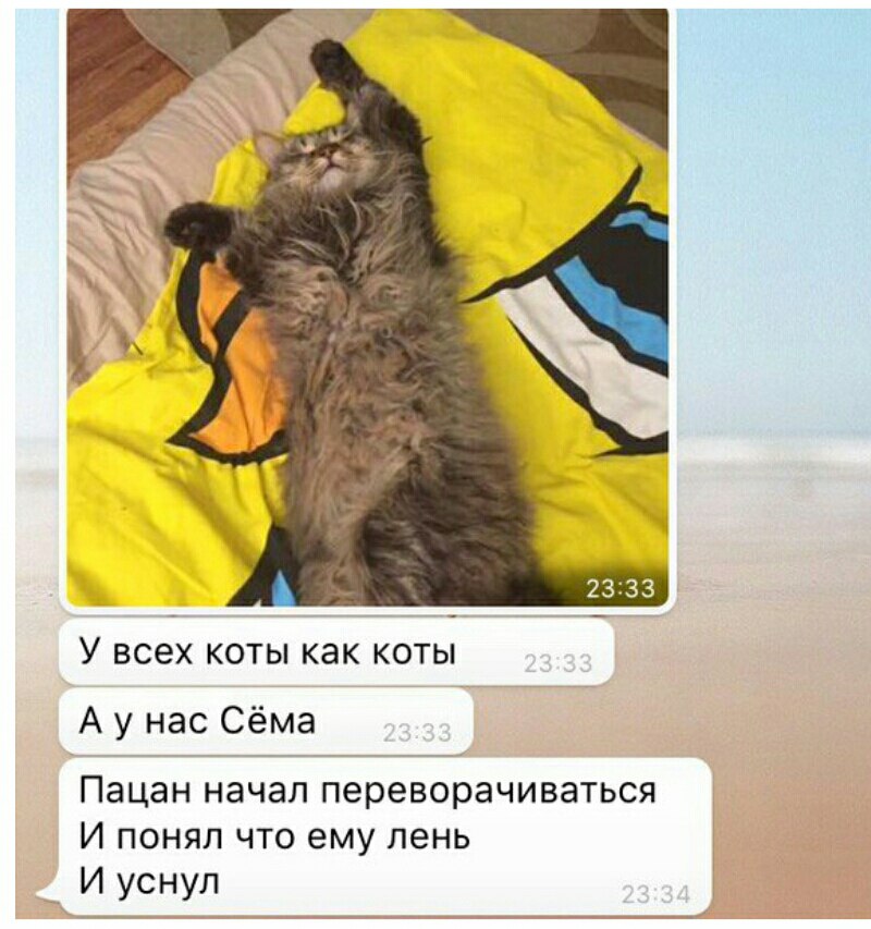  : Ѹ