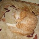 ���� ����, ������, 44 ���� - ��������� 30 ����� 2017 � ������ ���� ����������