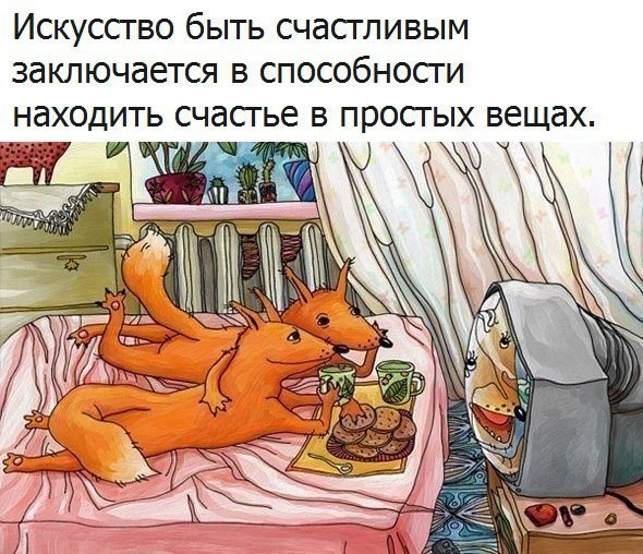   - 8  2016  21:07