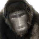 ���� �����, ���������, 51 ��� - ��������� 13 ������� 2017 � ������ ������ ��������