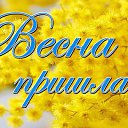 ���� ������, ���������, 66 ��� - ��������� 4 ����� 2017 � ������ �������� ��������