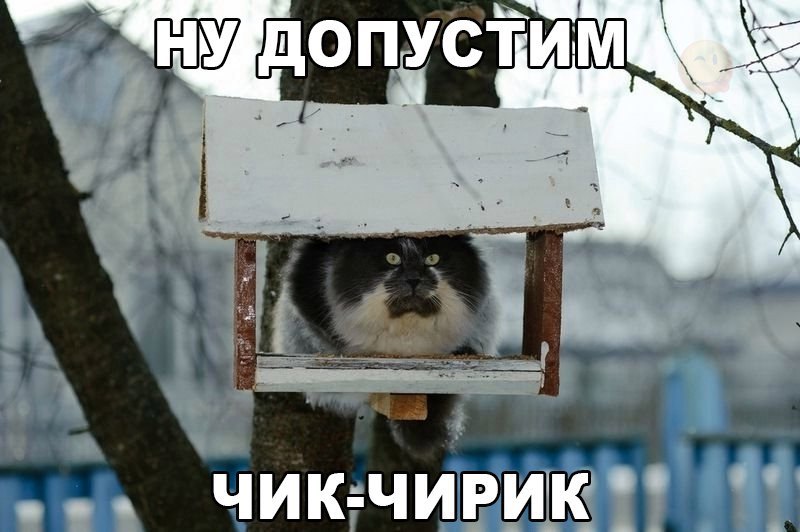    :-) - 12  2017  13:00