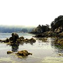  nt, , 64  -  15  2016   .