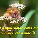 ���� Aleksandr, ������, 62 ���� - ��������� 4 ������� 2017 � ������ ���� ����������