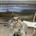 ���� �l, ����������, 37 ��� - ��������� 26 ������� 2016 � ������ ���� ����������