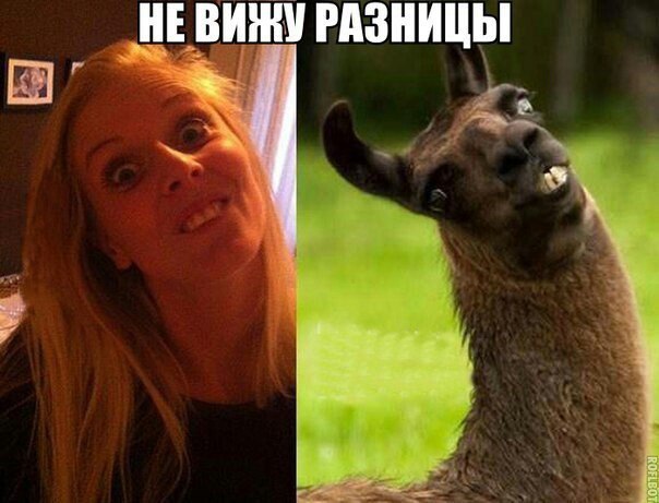 Larisa - 10  2016  20:46
