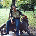 ���� ���������, ������-���, 43 ���� - ��������� 18 ������ 2017