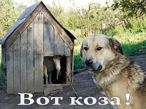  !!!