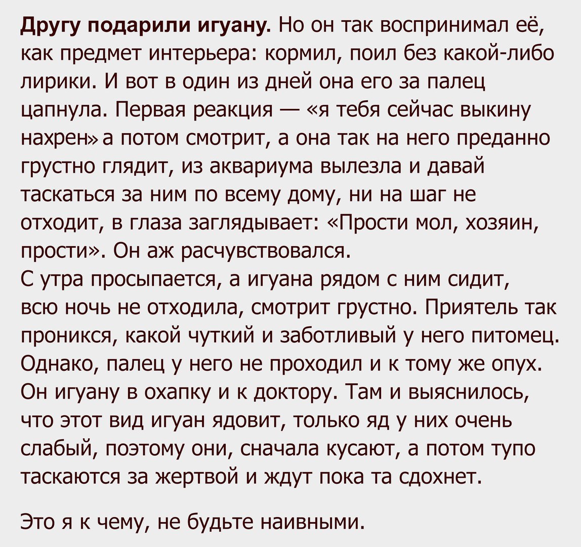 ����� - 16 ������ 2017 � 22:15