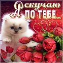 ���� �, �������� - ��������� 7 ������� 2016 � ������ ���� ����������