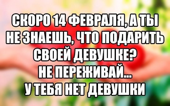  -   - 6  2017  15:33