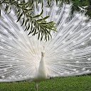 ���� Alehandro, ����������, 53 ���� - ��������� 29 ����� 2017 � ������ ������ ��������