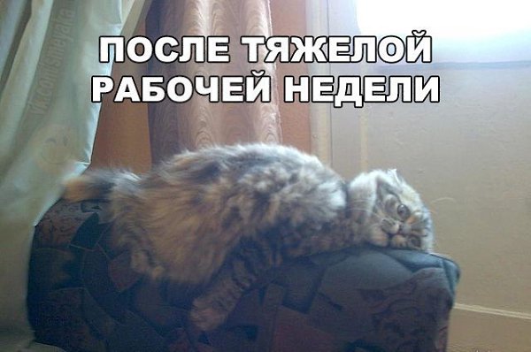    :D - 27  2016  05:06