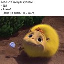 ���� �����������, ����� - ��������� 30 ������ 2017 � ������ ���� ����������