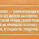 ���� Igor, ������ - ��������� 17 ������� 2016 � ������ ������ ��������