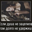 ,  -  3  2016    