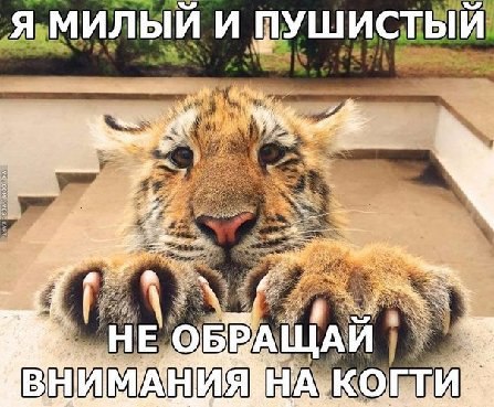 ***Victoria Viktorovna*** - 9  2016  14:42