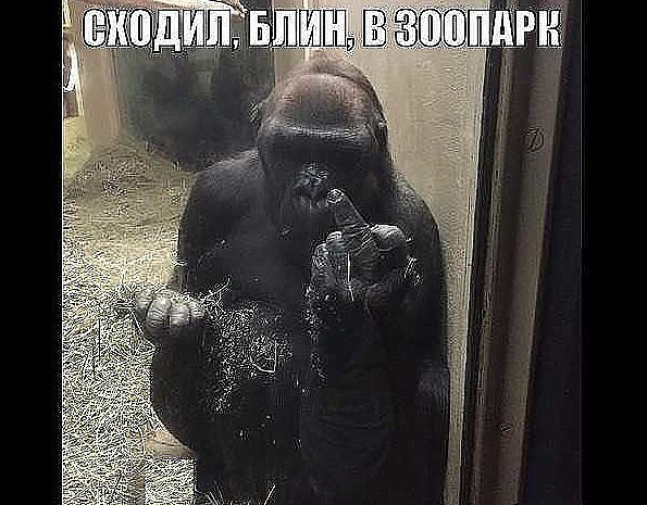       ,    ,  : -  , ... - 6