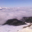  Vologia, , 48  -  2  2017    2200   .