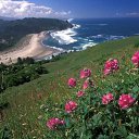 ���� Sveta, ������������, 62 ���� - ��������� 12 ����� 2017 � ������ ���� ����������