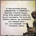 ���� Rodnaj, �����-��������� - ��������� 25 ������� 2016 � ������ ������ ��������