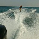 ���� �����, ������, 43 ���� - ��������� 20 ������� 2016 � ������ ���� ����������